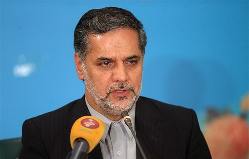 حسین نقوی‌حسینی، سخنگوی کمیسیون امنیت ملی