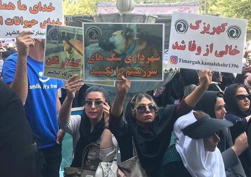Protest to dogkillings in front of Tehran municipality Iran