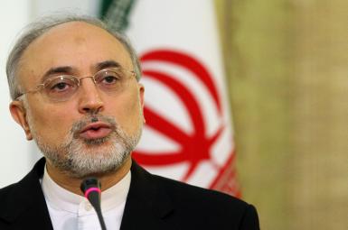 علی‌اکبر صالحی، رئیس سازمان انرژی اتمی ایران