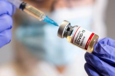 اللقاحات الخارجية اعتماد تسجيل مقيم
