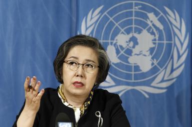 یانگی لی گزارشگر سازمان ملل