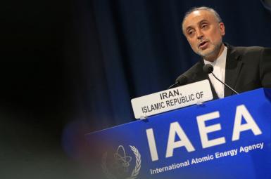 علی اکبر صالحی، رئیس سازمان انرژی اتمی ایران